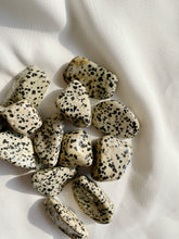 Load image into Gallery viewer, Dalmatian Jasper